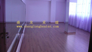 Electric heater